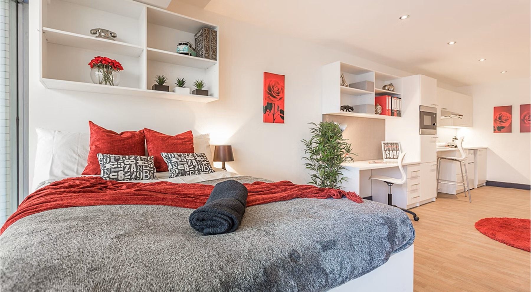 Studio Sapphire Plus